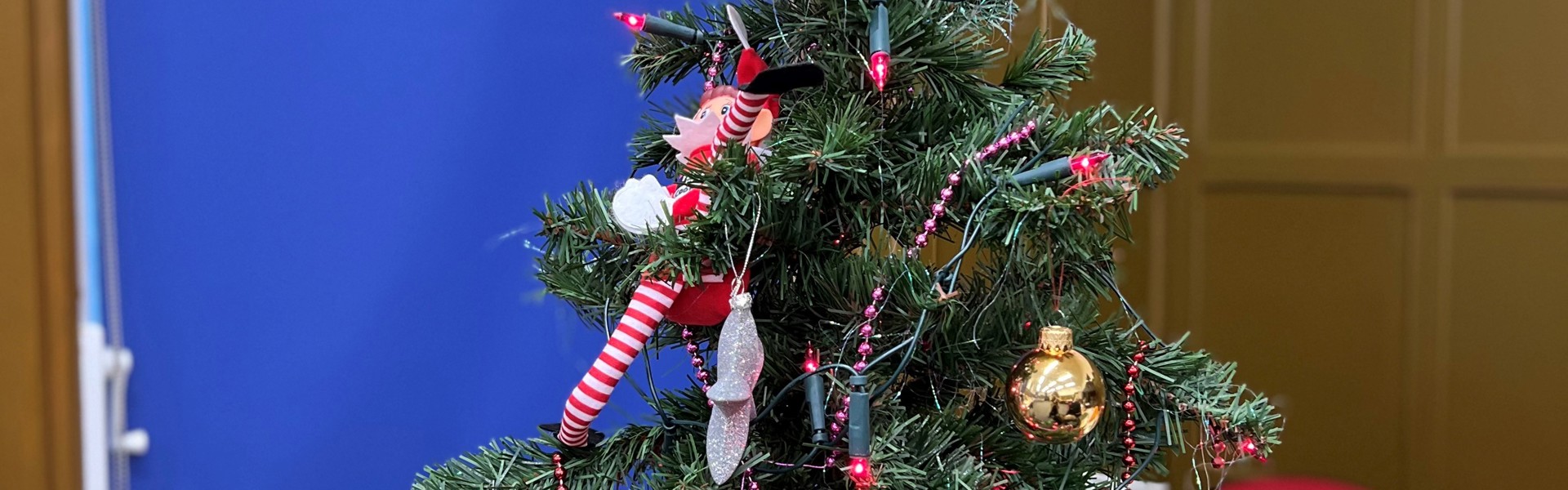 Xmas Tree