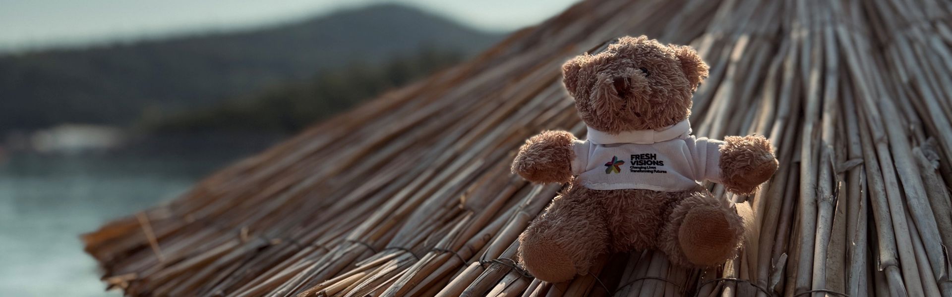 Ted By The Beach 2